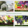20' L x 10' W x 8' H Heavy-duty Greenhouse Walk-in Hot House with Windows and Roll Up Door;  PE Cover;  Steel Frame;  White