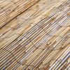 Garden Reed Fence 49.2"x393.7"