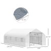 20' x 10' x 7' Greenhouse Walk-In Warm House