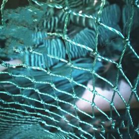 100m Poultry Chicken Netting Fence Chicken Netting Netting (Option: 1meter high and 30meters lon)